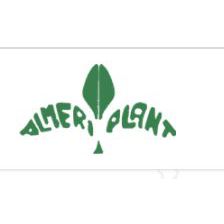 Almeriplant Semilleros y Viveros Logo