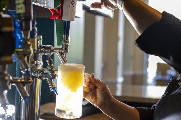 Images Hilton Garden Inn Albany