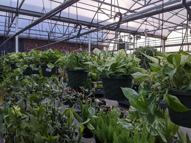 Images Grant Line Garden Center & Nursery