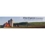 First Express Insurance Logo