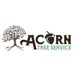 Acorn Tree Service - Clearwater, FL - (727)777-6136 | ShowMeLocal.com