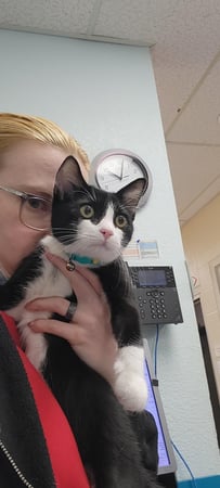 Images VCA Preston Park Animal Hospital