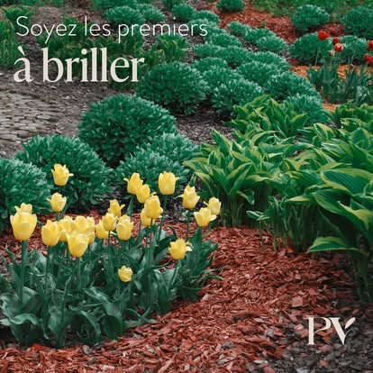 Images Pro-Vert S.R.T - Aménagement paysager, Pose de tourbe, Nivellement de terrain