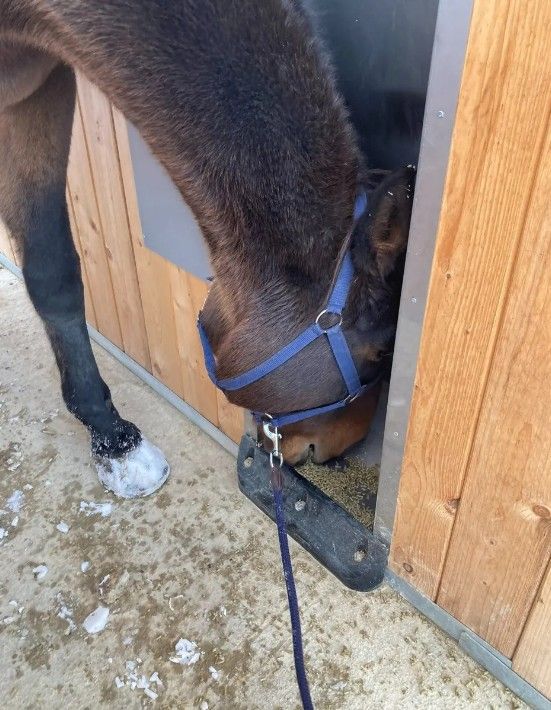 Aktivstall Dirnberg, Dirnberg 1 in Amerang