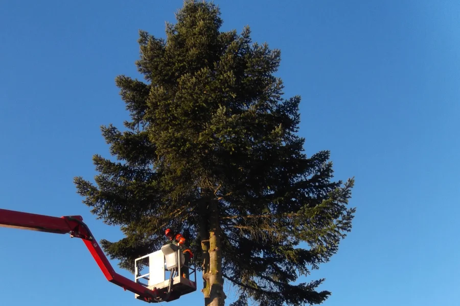 Garten Hartmann in Obergünzburg, Liebenthannstraße 30 in Obergünzburg