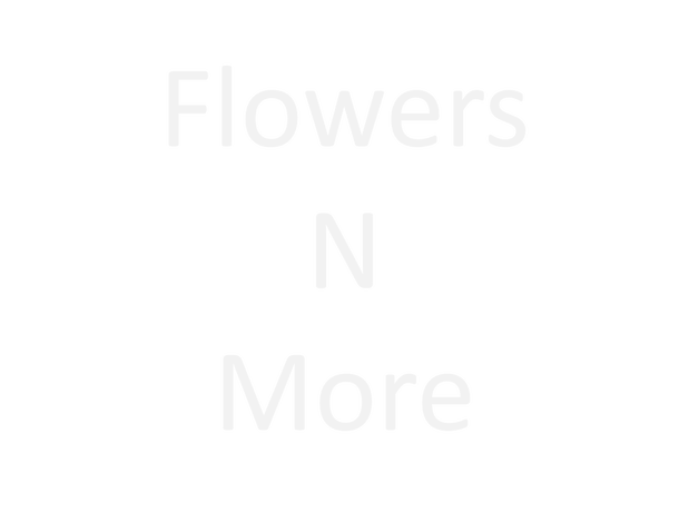 Images Flowers N More