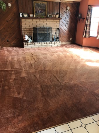 Images Carpet Pro Carpet Cleaning & Dyeing