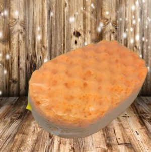 Soap Sponge