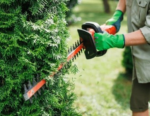 Tidy Guy Home and Garden Maintenance 5