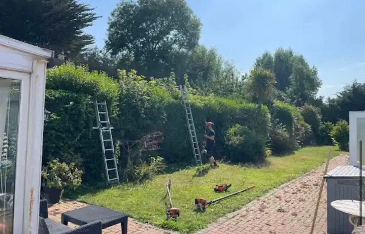 Images Tree Doctors & Landscaping