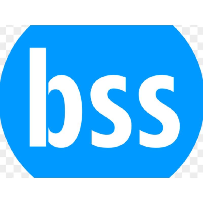 Bss Waste & House Clearences Logo