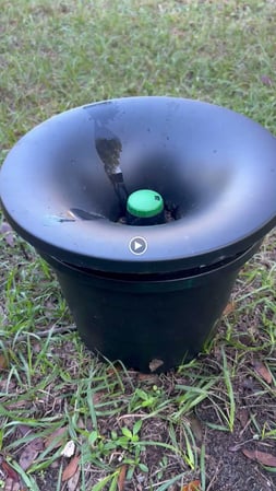 Images Organa Pest Control