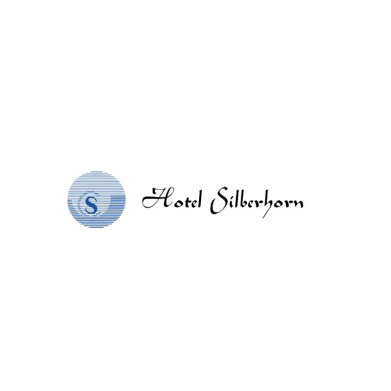 Logo Christian Silberhorn Business-Center GmbH & Co. KG