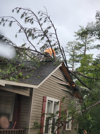 Images Broken Branch Tree Service LLC