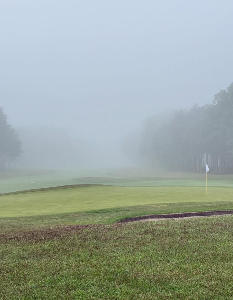 Images VZONEGOLF