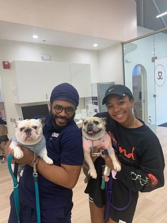 Images Petfolk Veterinary & Urgent Care - East Cobb Marietta