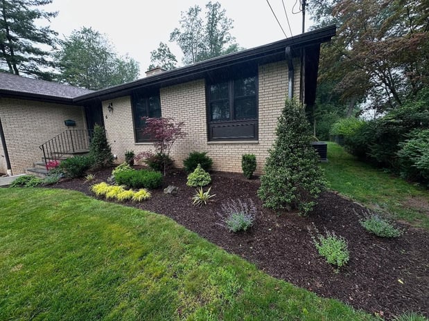 Images BT Property Services LLC
