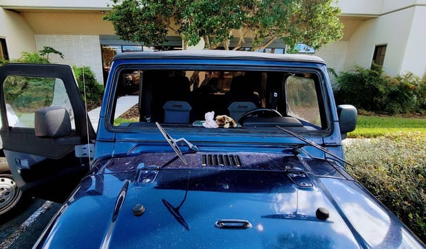 Images Skyview Auto Glass Troy