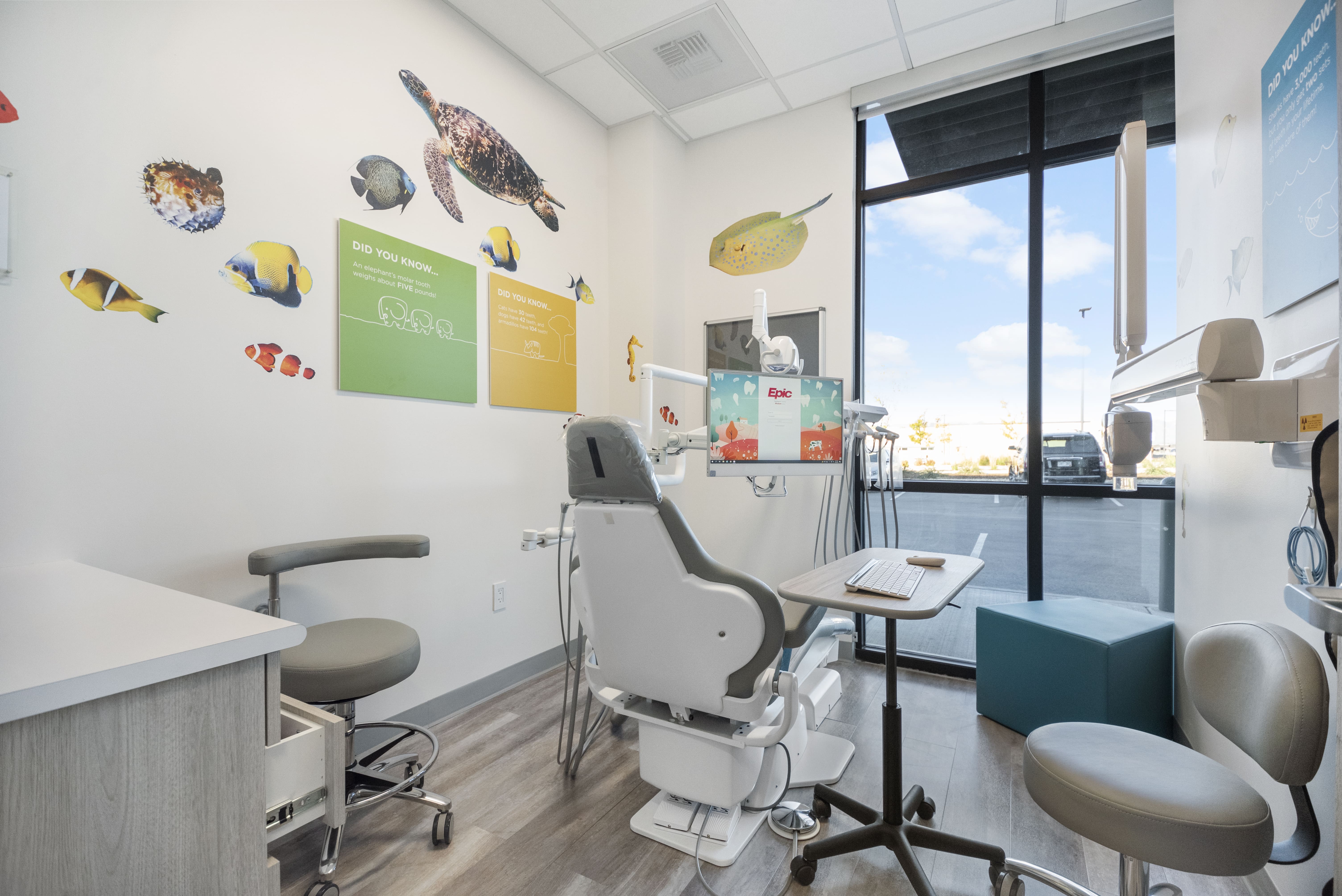 Image 4 | Dublin Kids' Dental Group and Orthodontics