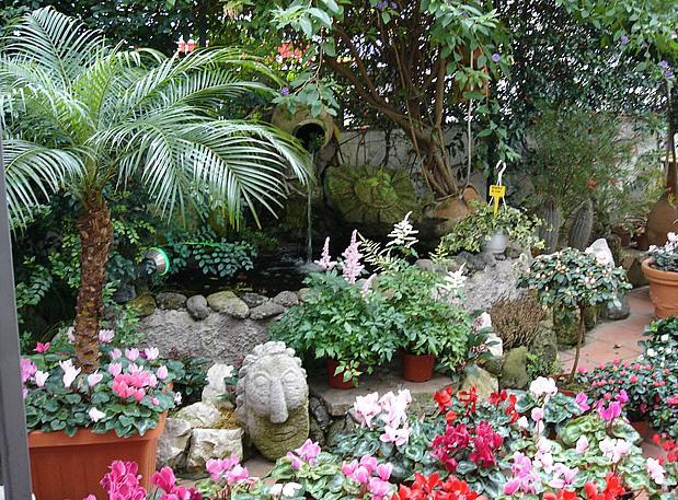 Images Fioreria Palestro