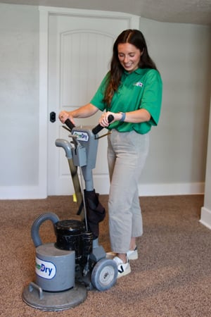 Images Carine Chem-Dry