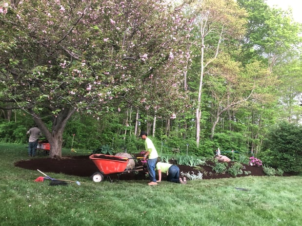 Images Madison Earth Care