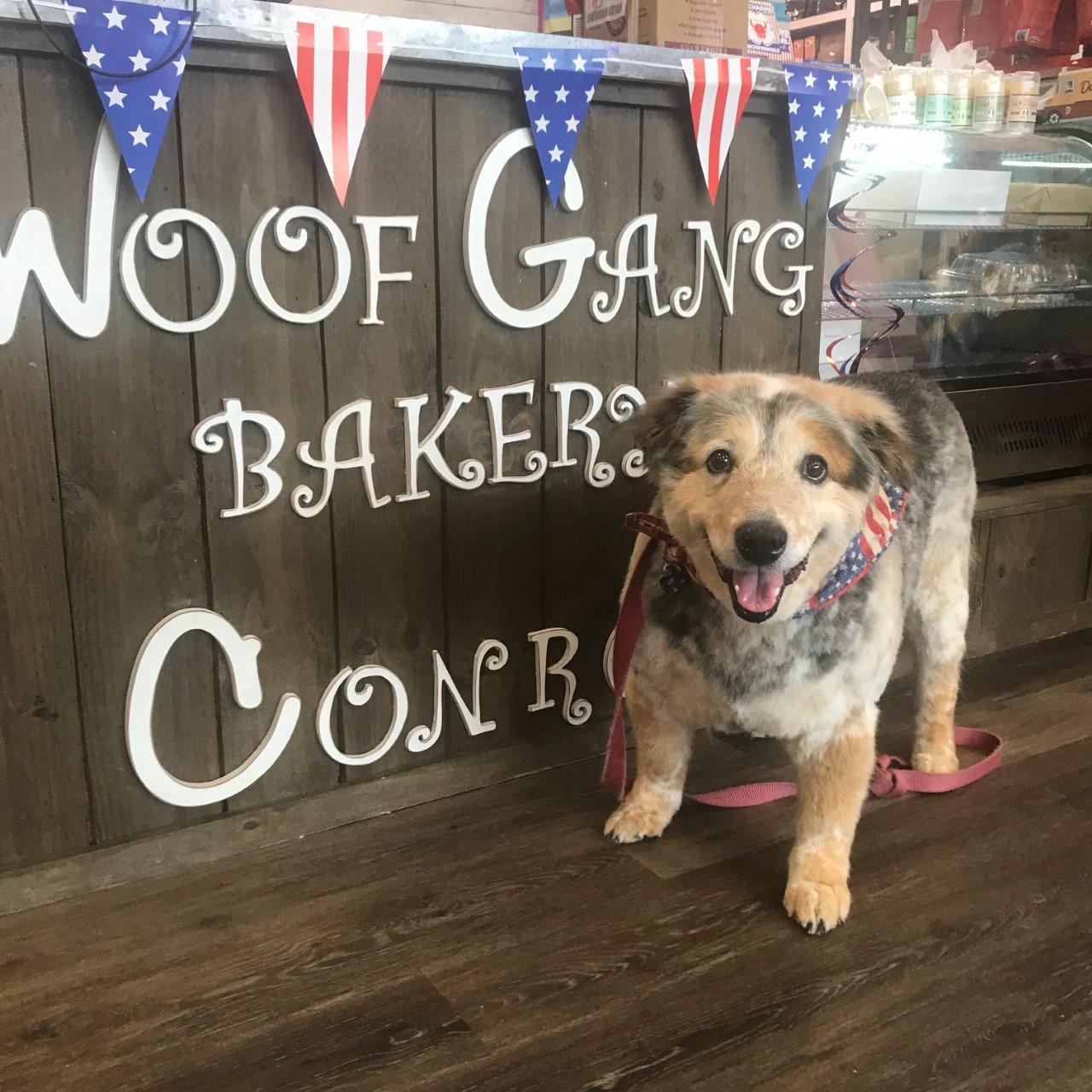 Woof Gang Bakery & Grooming Conroe Photo