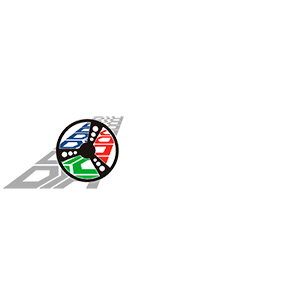 Llantas y Servicios Dega de Saltillo Colonias de San Francisco Logo