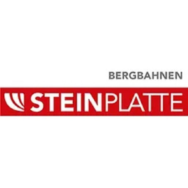 Bergbahnen-Steinplatte Waidring Logo