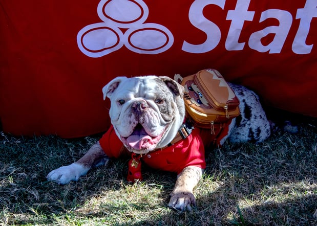 Images Pam Johnson - State Farm Insurance Agent