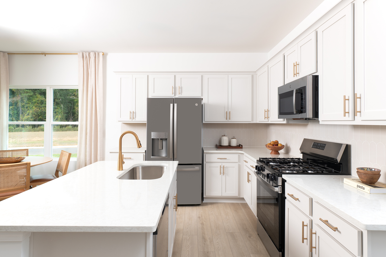 Towns at the Point by Ashton Woods Image