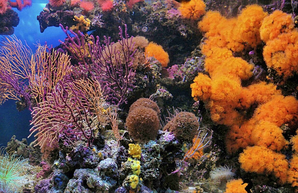 S&L Naturverlag, Bergrat-Mahr-Straße 17 in Ilmenau