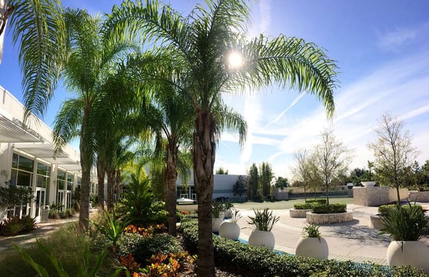 Images Hilton Orlando