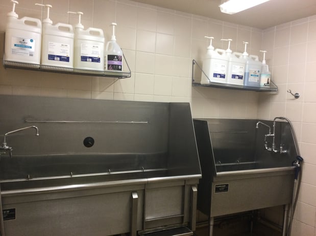 Images Petco Grooming