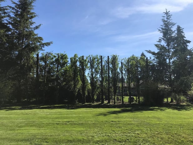 Images Double D Tree Service LLC