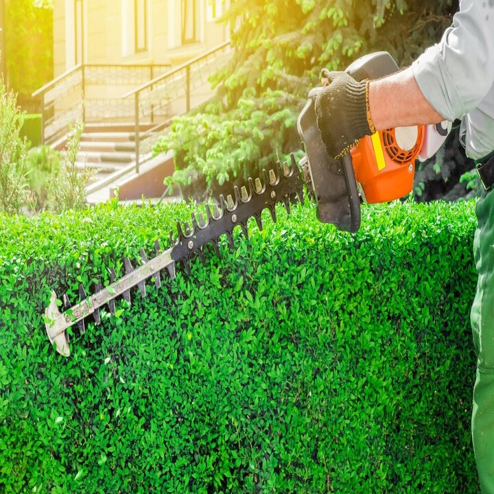 Images Melecio Landscaping