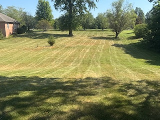 Images Quality Ground Maintenance