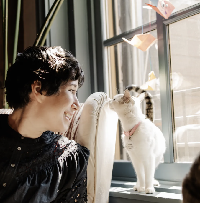 Images Calico Veterinary NYC