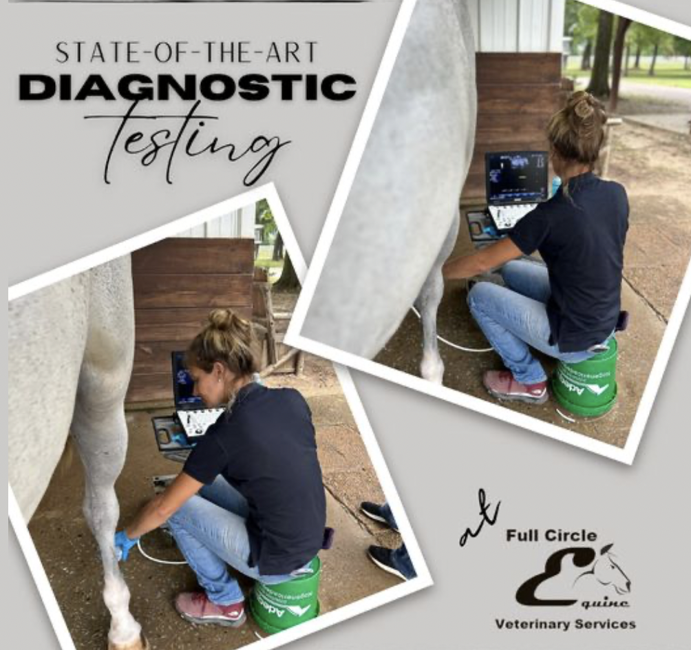 Diagnostic ultrasonography has proven to be a powerful tool in veterinary medicine. As a practice, one of Full Circle Equine’s goals is to offer state of-the-art medicine and diagnostic testing, so we are pleased to offer ultrasonographic services as a means of providing a higher level of quality care to our equine patients.