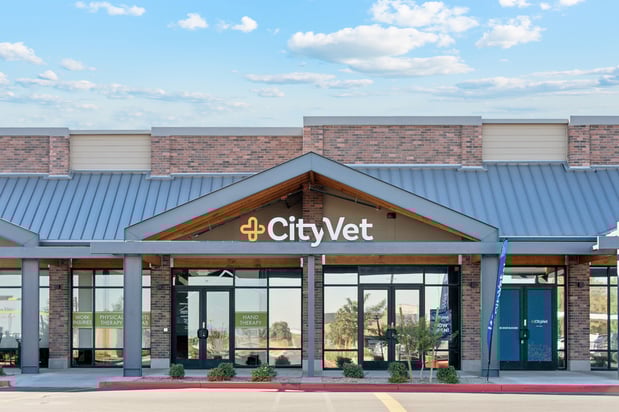 Images CityVet | Surprise