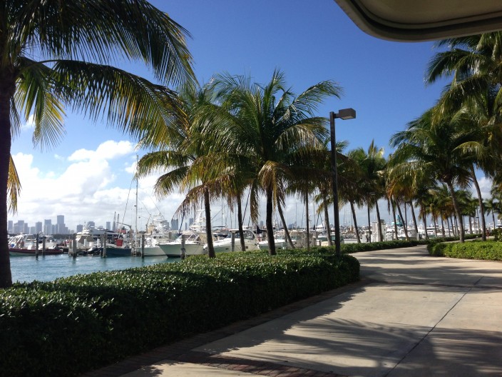 Image 3 | Miami Beach Marina
