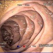 Images Doutor José Pires