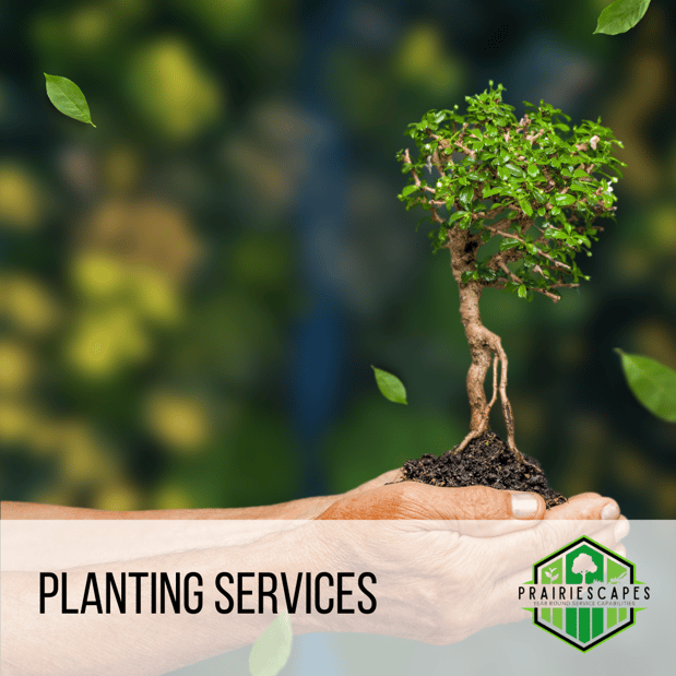 Images PrairieScapes Landscaping