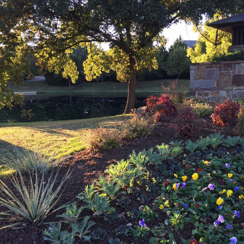 Smith Lawn and Tree