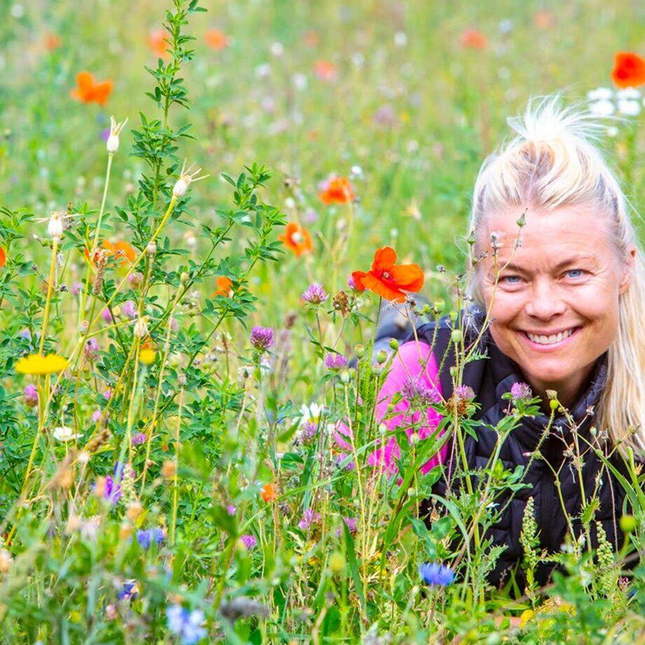 Images Queen B Trädgård- & Konsulttjänster AB