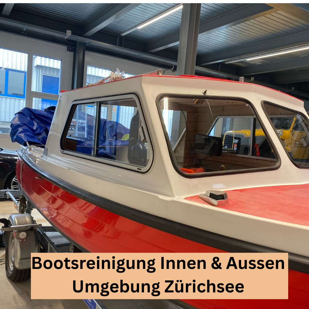 Bilder Sopa Reinigung