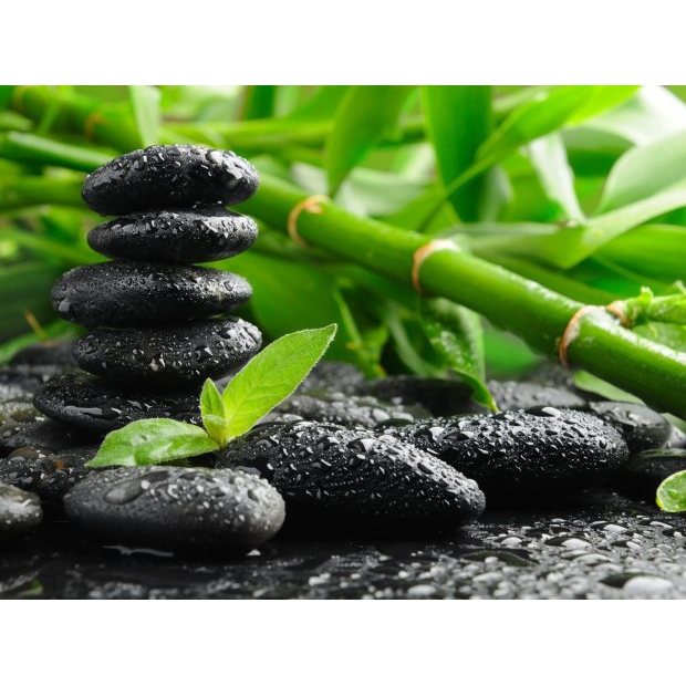 Sticks & Stones Massage Therapy