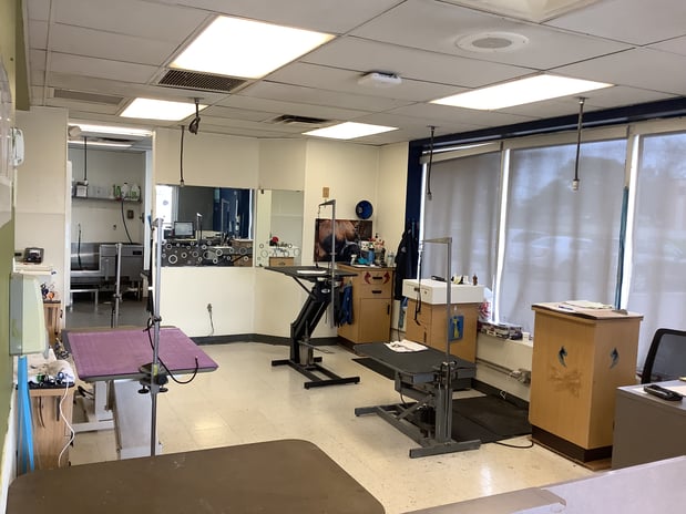 Images Petco Grooming