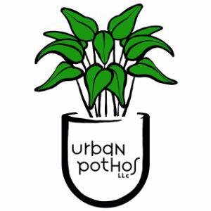 Urban Pothos Houseplant Shop - Raleigh, NC 27605 - (984)200-3449 | ShowMeLocal.com