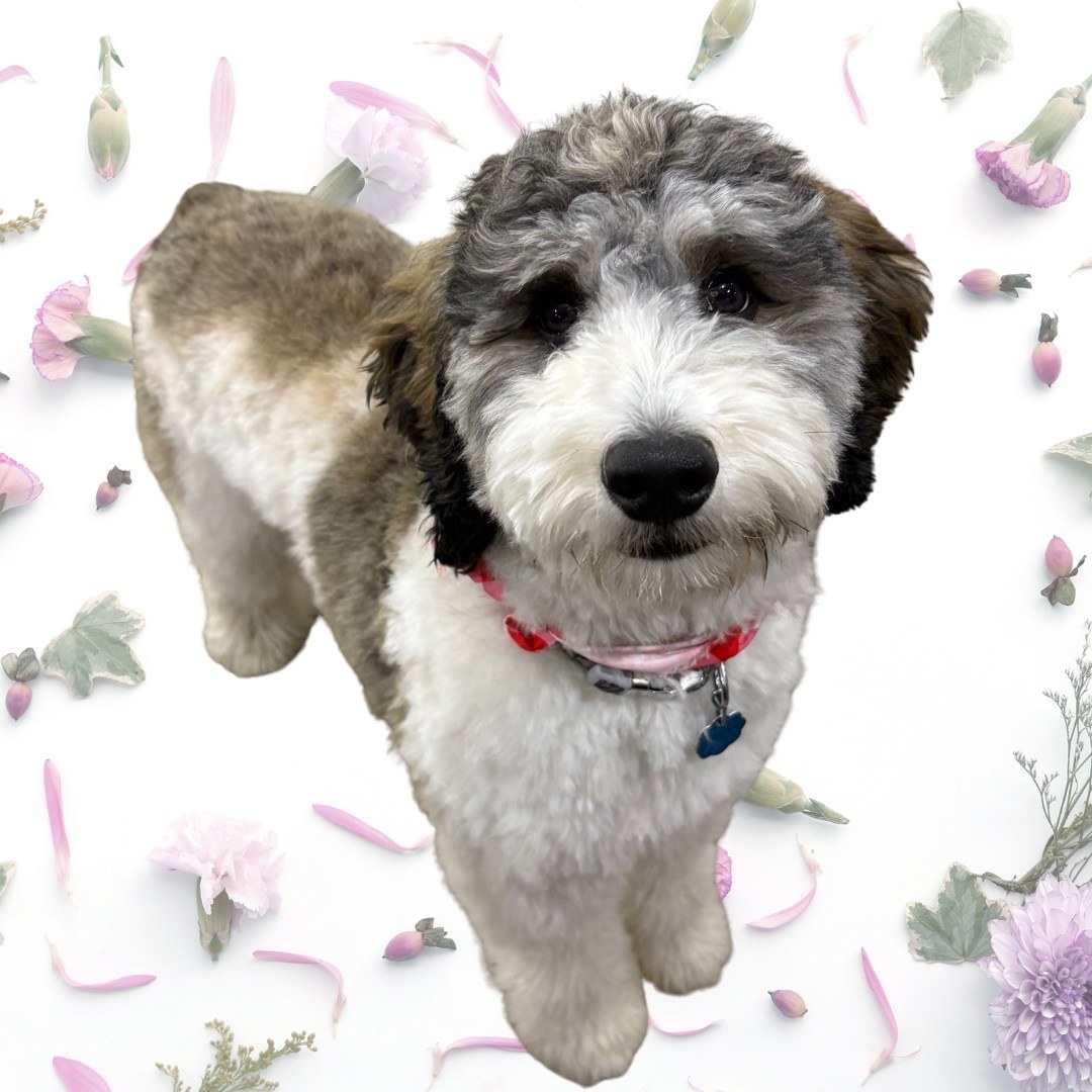 Chad Mitchell - State Farm Insurance Agent Image